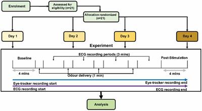 Non-contact neuromodulation of the human autonomic nervous system function via different odors: Sex, menstrual cycle, and odor dose- and duration-specific effects